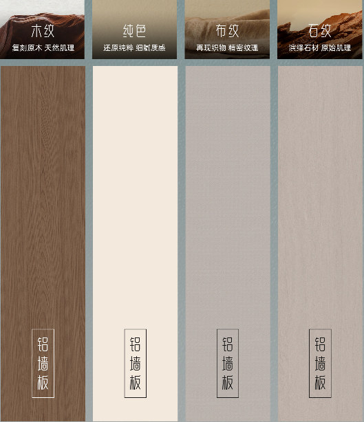 圖片5